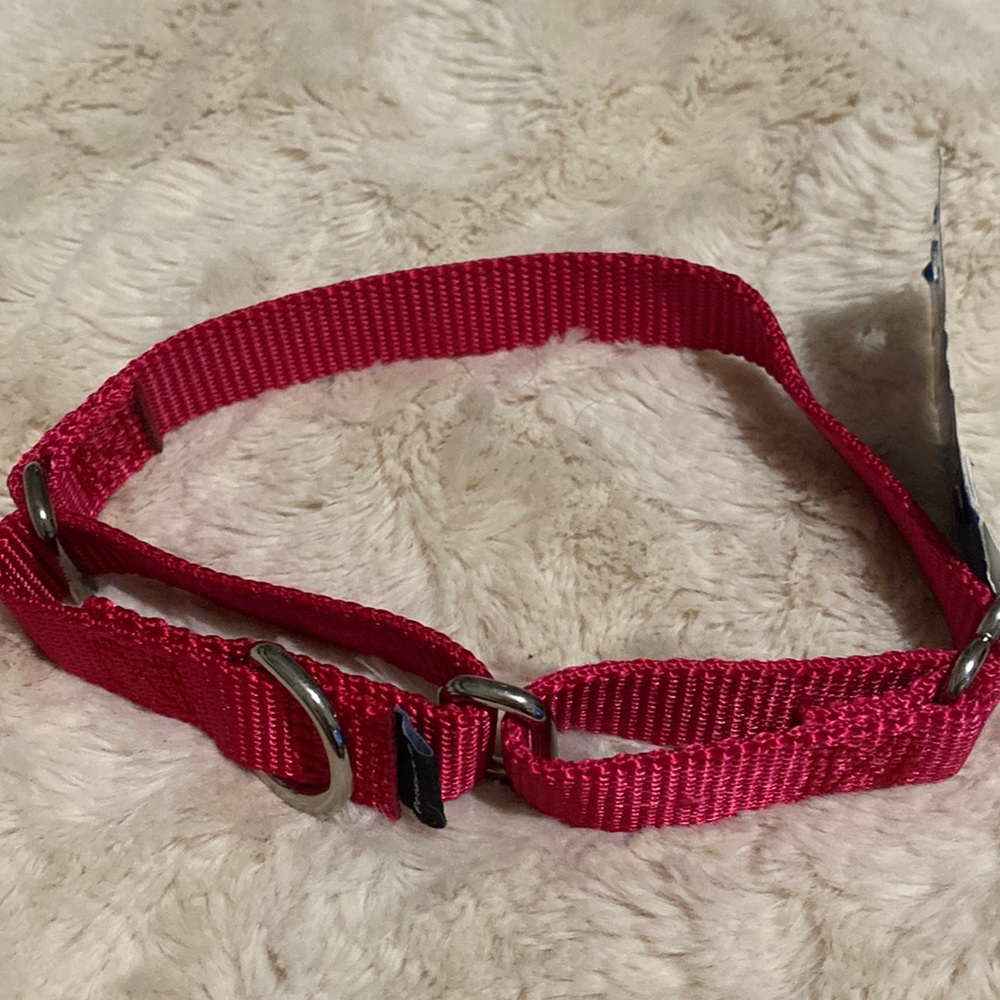 PetSafe Premier Collar size Small